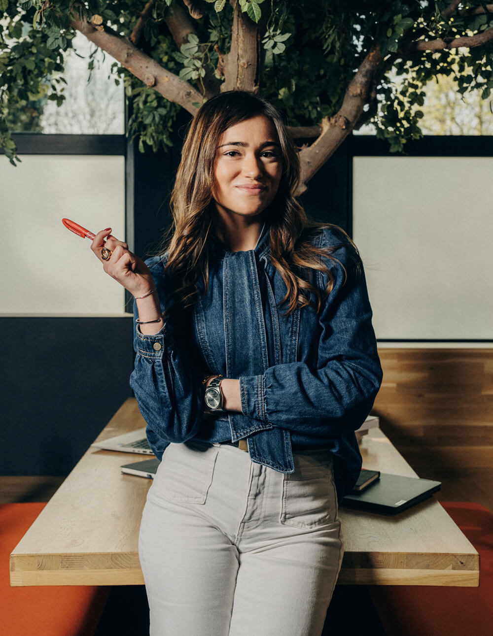 Centers of Excellence