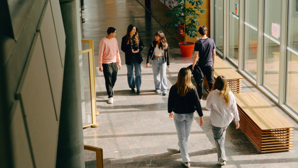 MSc International Business Management