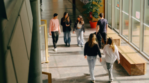 MSc International Business Management